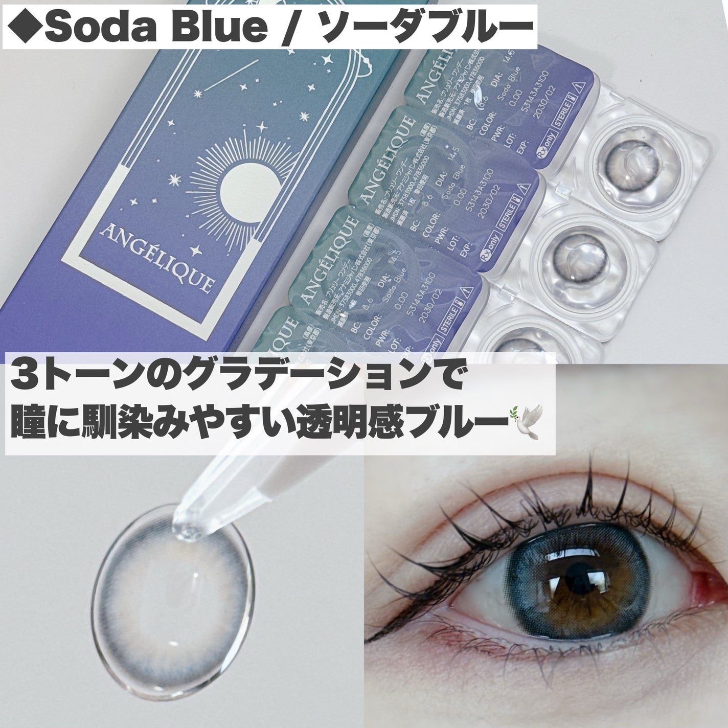 ANGÉLIQUE 1day/ANGÉLIQUE/ワンデー(1DAY)カラコンを使ったクチコミ(8枚目)