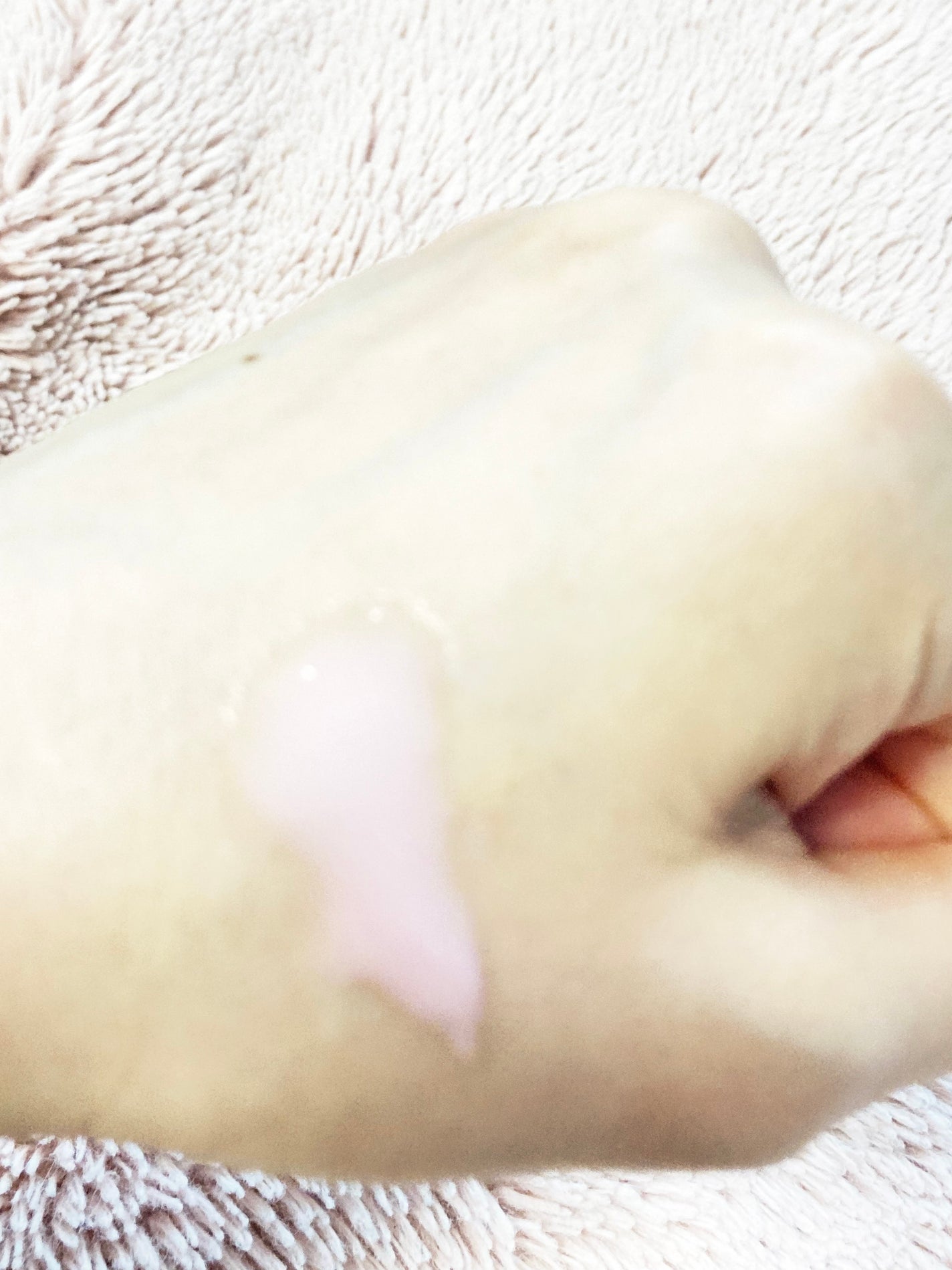 RMR4112 on LIPS 「○メディキューブ PDRNピンクトナー○トラブル跡ゼロな肌へ導..」(2枚目)