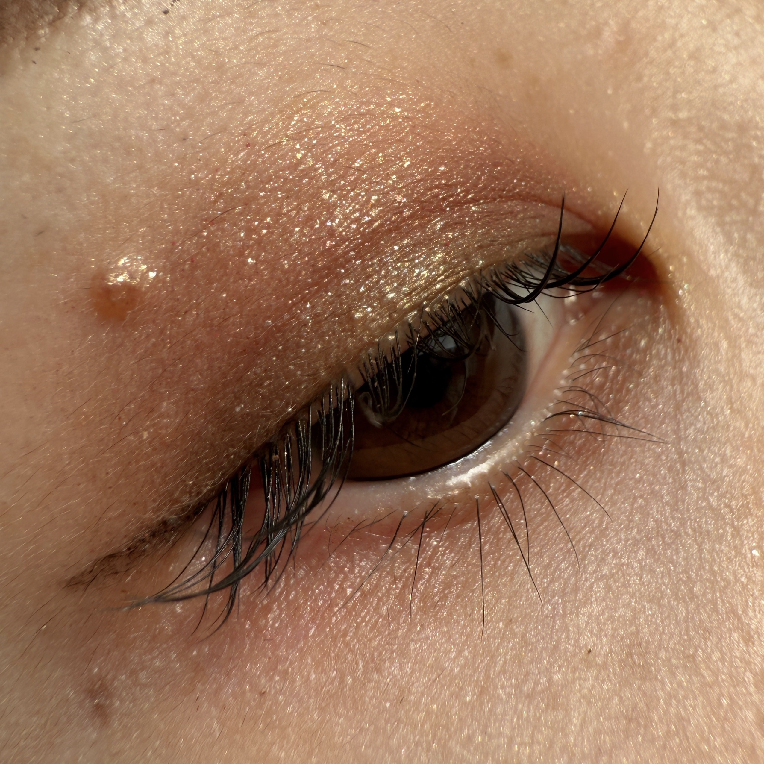 Eyeshadow Palette Stack/Melt Cosmetics/単色アイシャドウを使ったクチコミ（2枚目）