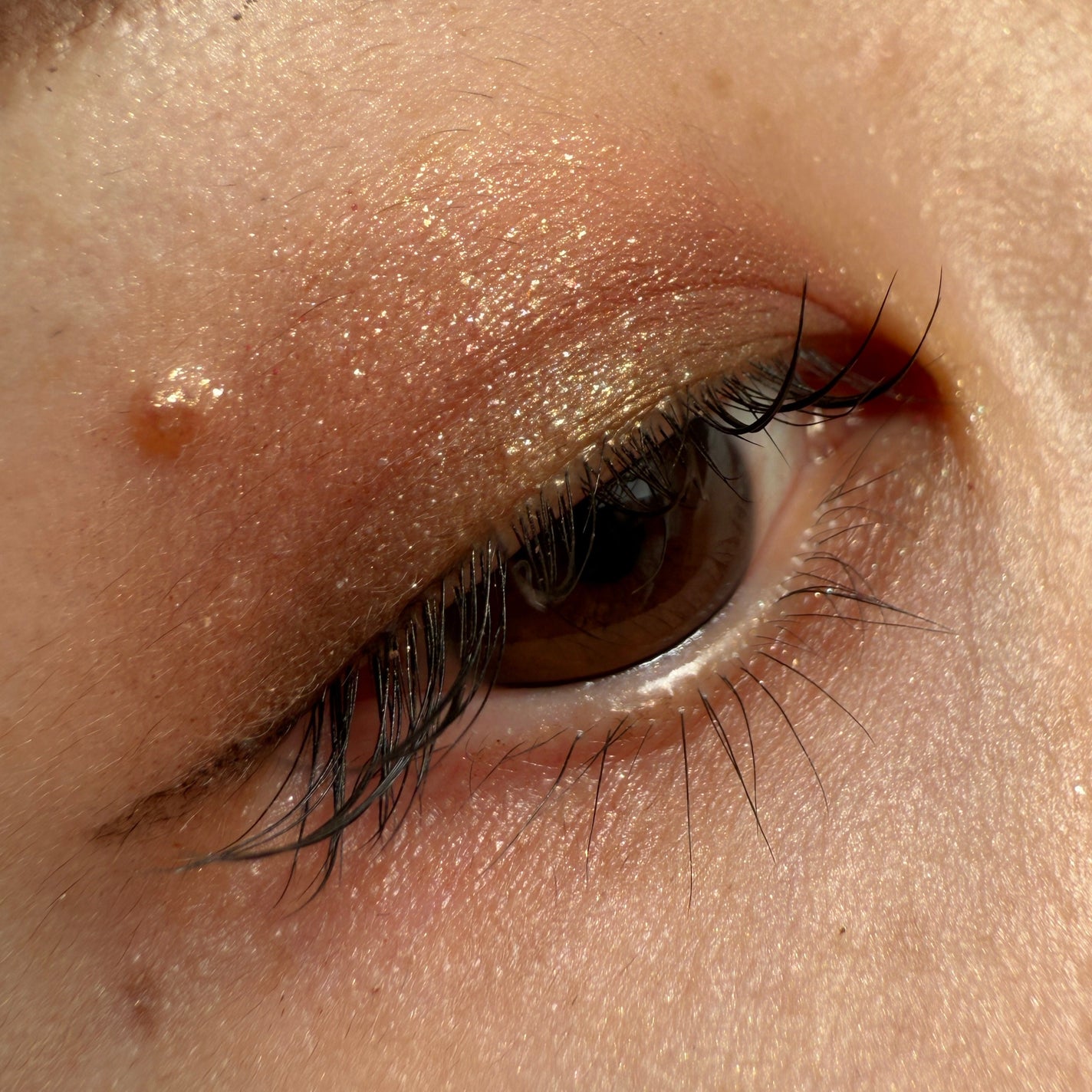 Eyeshadow Palette Stack/Melt Cosmetics/単色アイシャドウを使ったクチコミ(2枚目)