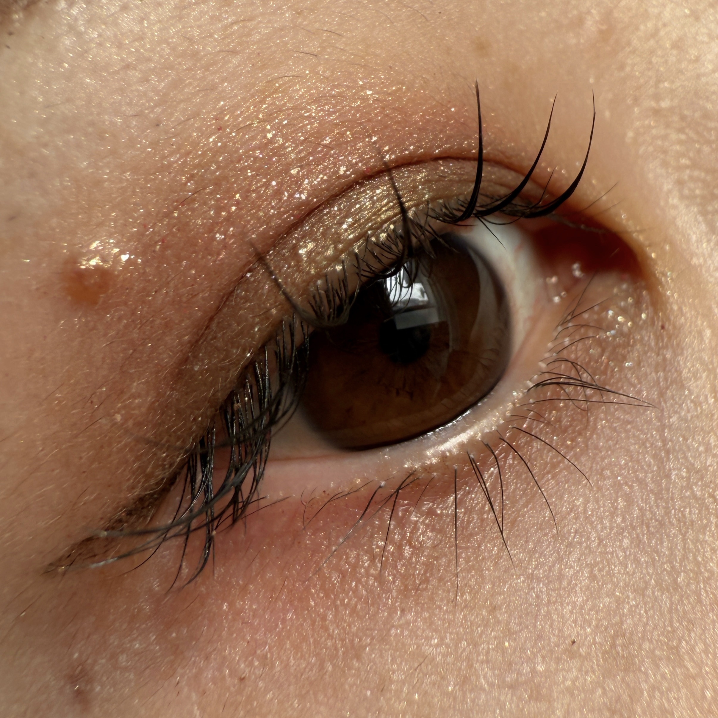 Eyeshadow Palette Stack/Melt Cosmetics/単色アイシャドウを使ったクチコミ（1枚目）