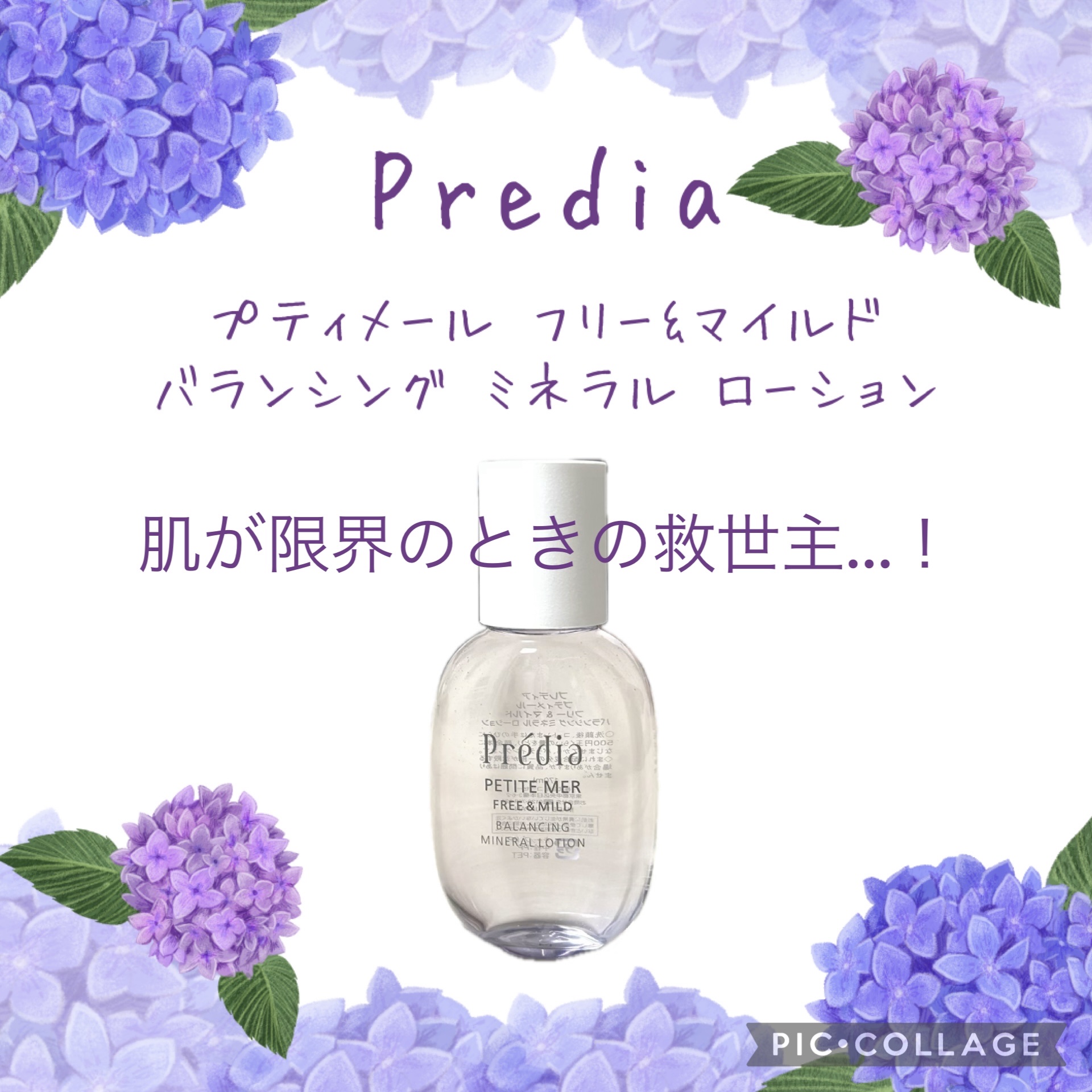 プティメール フリー&マイルド バランシング ミネラル ローション/Prédia/化粧水を使ったクチコミ（1枚目）
