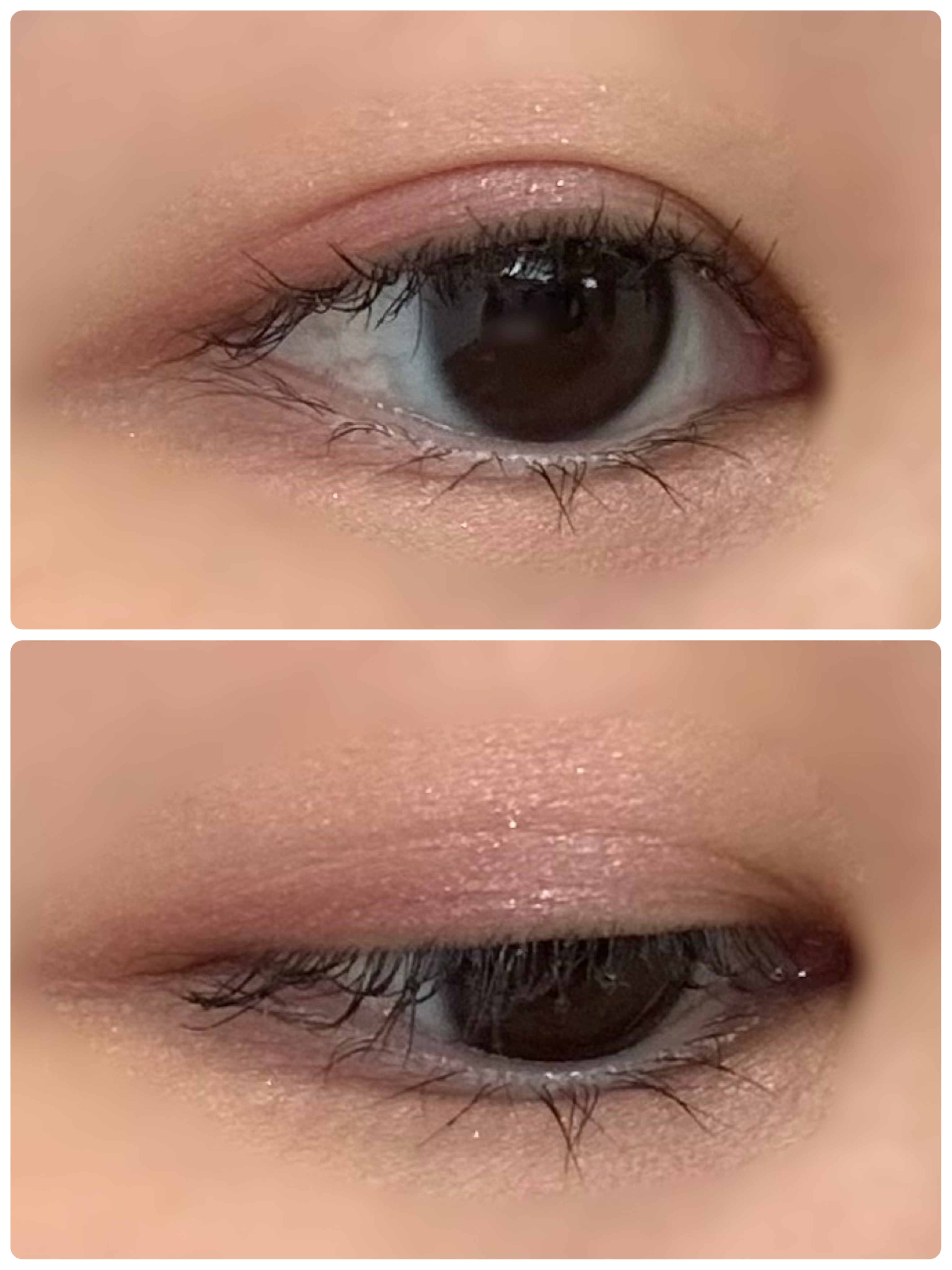 プティパレットアイズ/キャンメイク/パウダーアイシャドウを使ったクチコミ（2枚目）