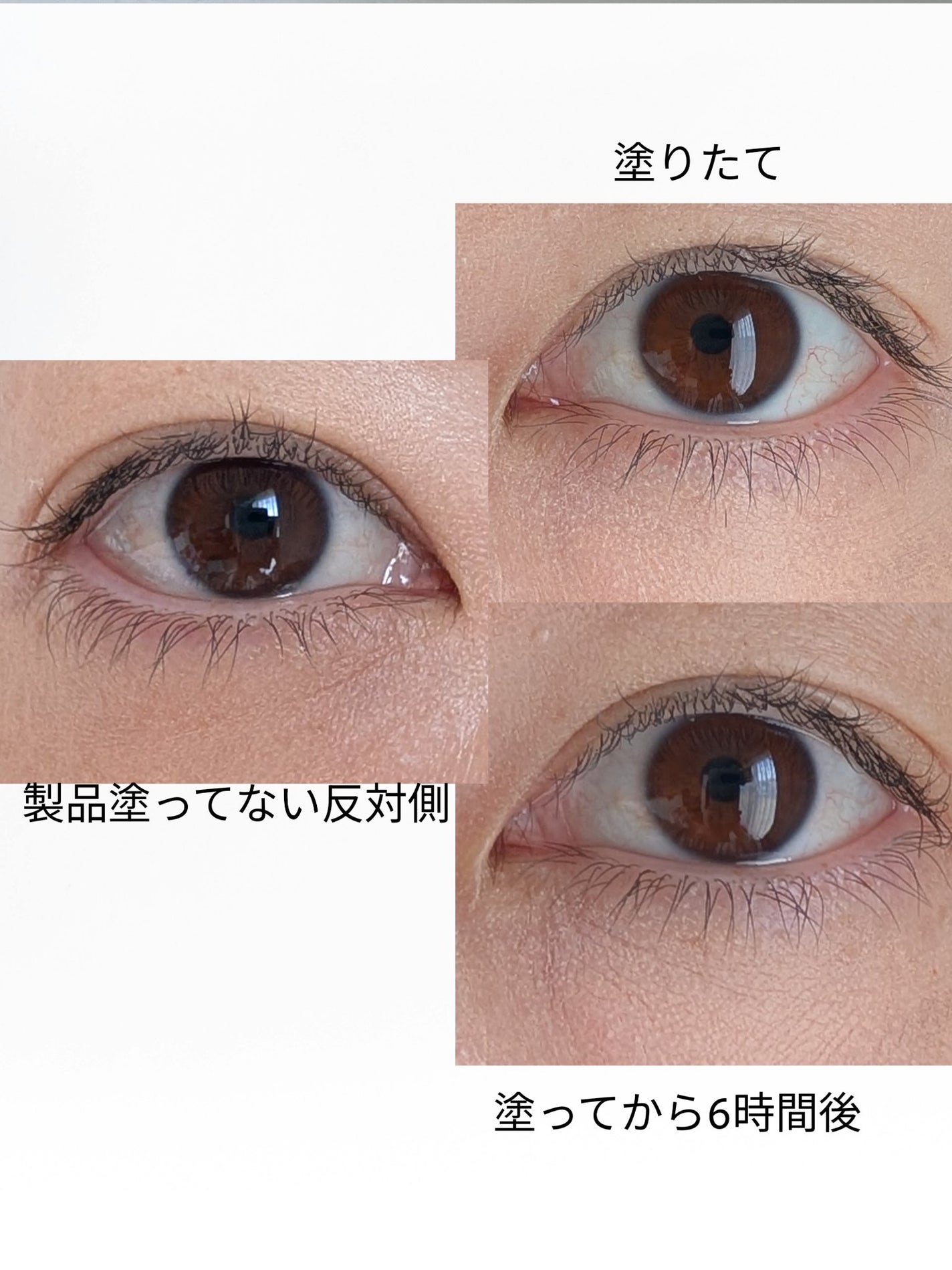 フラッターブラッシャー/mude/パウダーチークを使ったクチコミ(6枚目)