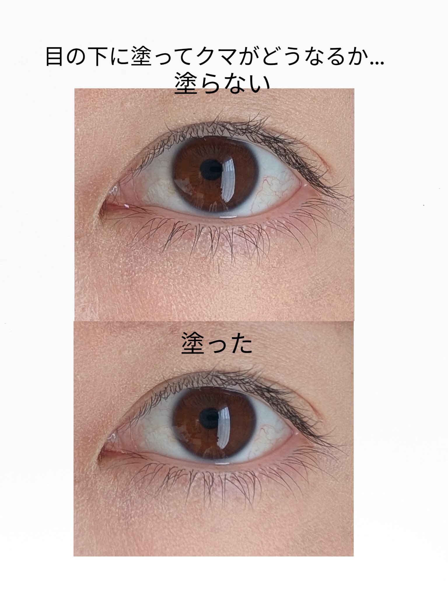 フラッターブラッシャー 00 シースルーベール/mude/パウダーチークを使ったクチコミ（2枚目）