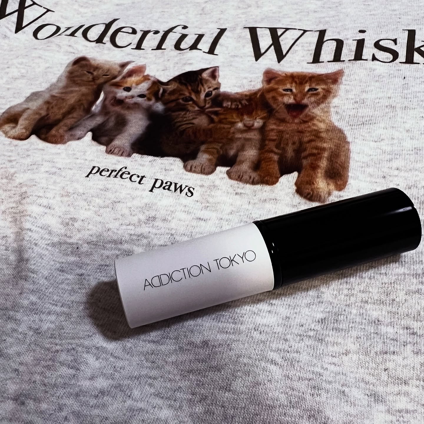 アディクション シルキーバームスティック/ADDICTION/化粧下地を使ったクチコミ（2枚目）