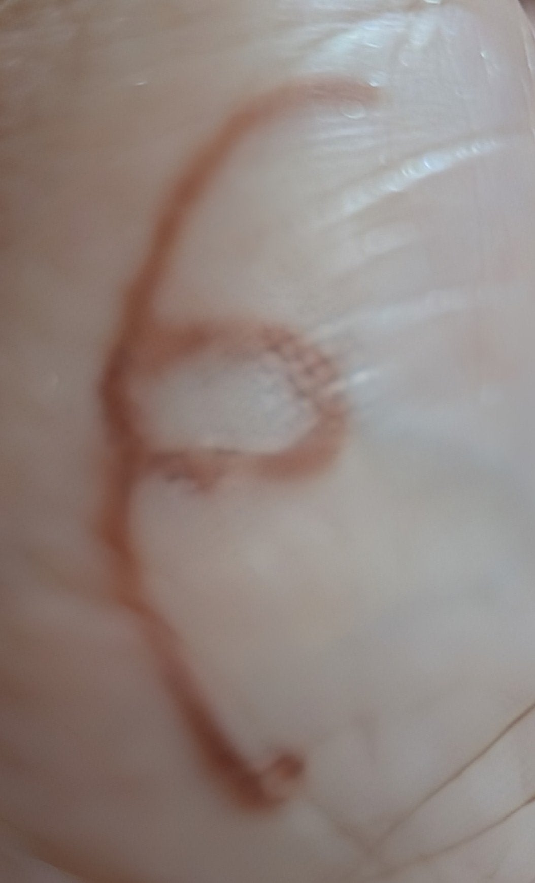 クリーミータッチライナー/キャンメイク/ジェルアイライナーを使ったクチコミ(3枚目)