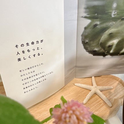 オールインワンリッチジェル/SABO LABO/オールインワン化粧品を使ったクチコミ(8枚目)