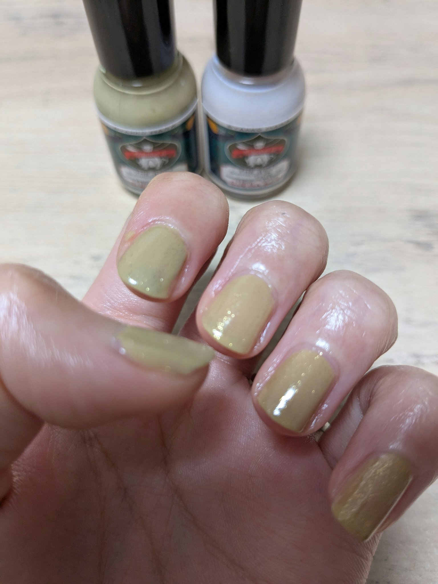 胡粉ネイル 和色シリーズ/上羽絵惣/マニキュアを使ったクチコミ（1枚目）