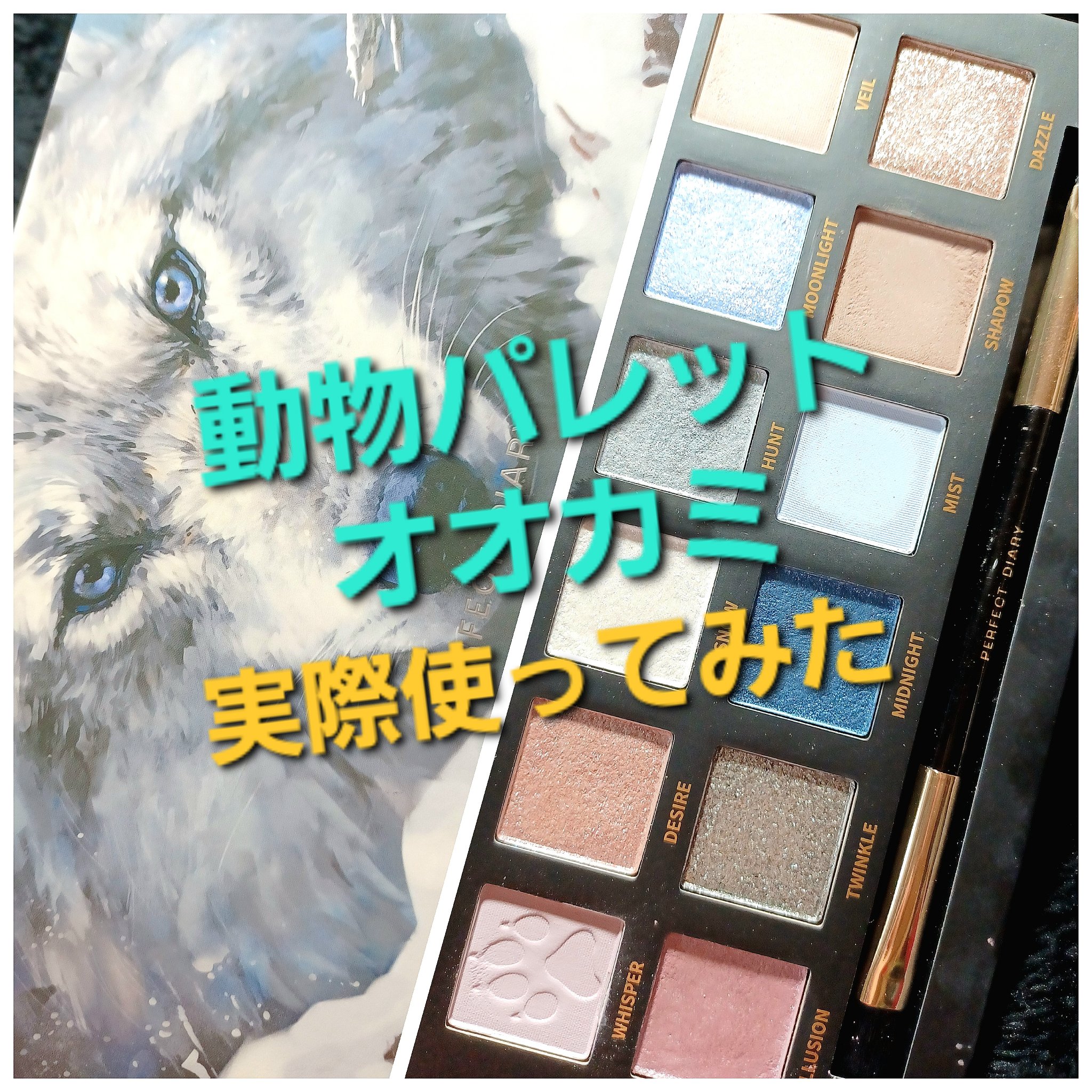 エクスプローラ12色 動物アイシャドウパレット/PERFECT DIARY/アイシャドウパレットを使ったクチコミ（1枚目）