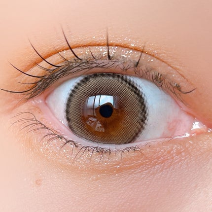 シャドウパレット/dasique/アイシャドウパレットを使ったクチコミ(5枚目)