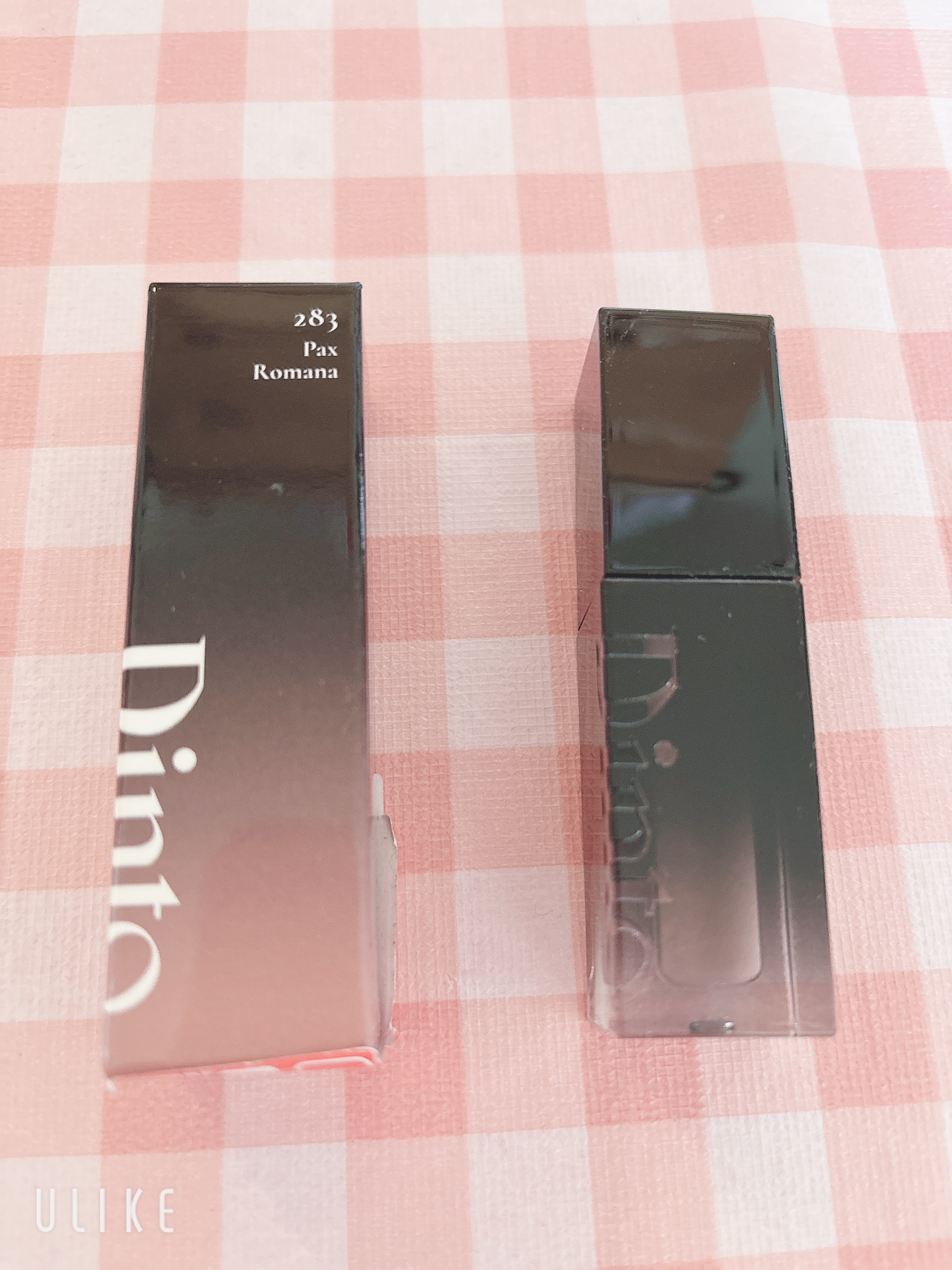 ブラーグロイリップティント 283 パクスロマーナ/Dinto/リップティントを使ったクチコミ（1枚目）