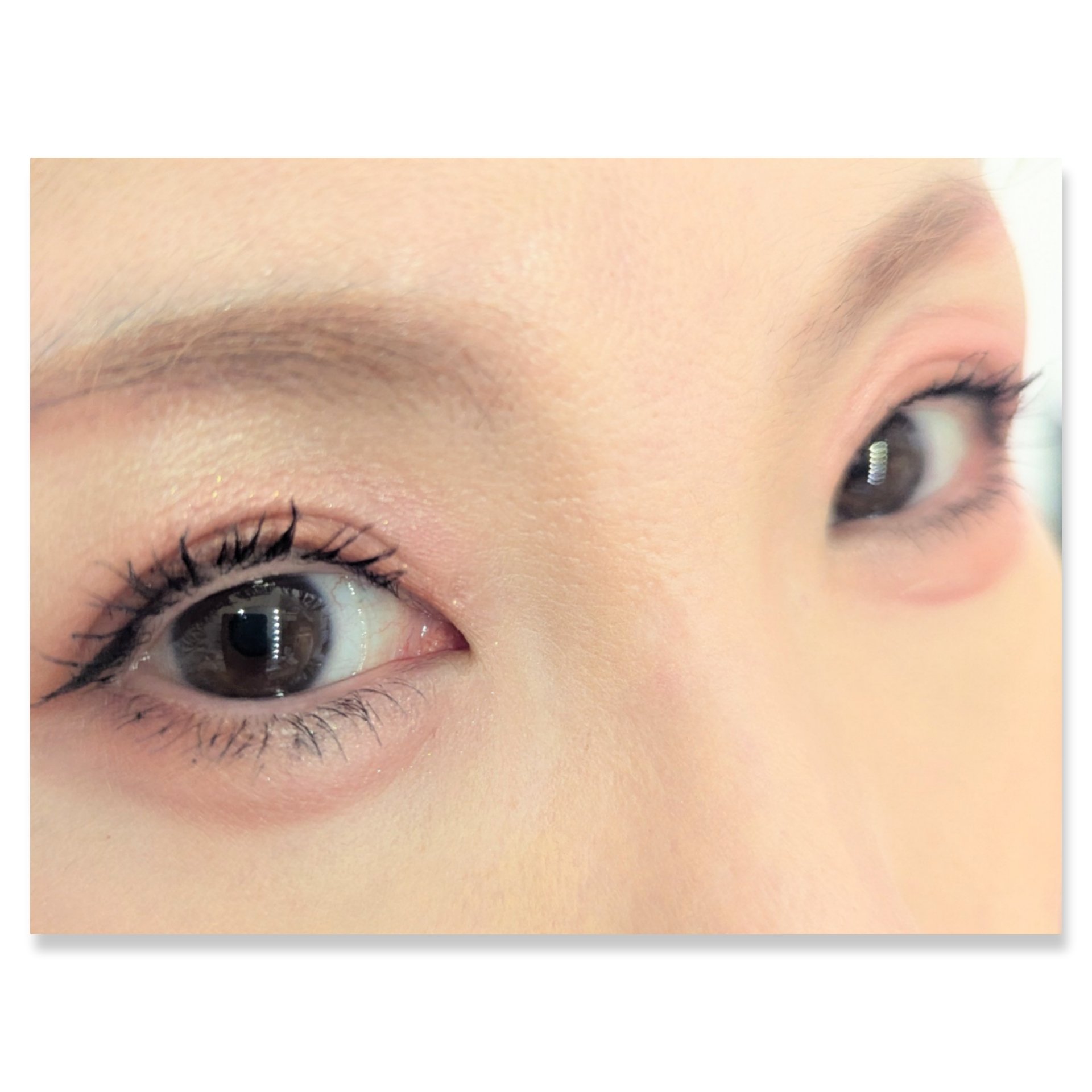 パノラマデザイン アイパレット/Visée/アイシャドウパレットを使ったクチコミ（2枚目）