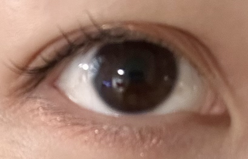 シルキースフレアイズ/キャンメイク/アイシャドウパレットを使ったクチコミ（3枚目）