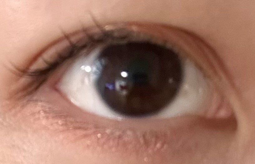 シルキースフレアイズ/キャンメイク/アイシャドウパレットを使ったクチコミ(3枚目)