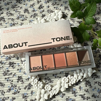 リターントゥーベーシックシャドウパレット/ABOUT TONE/アイシャドウパレットを使ったクチコミ(6枚目)