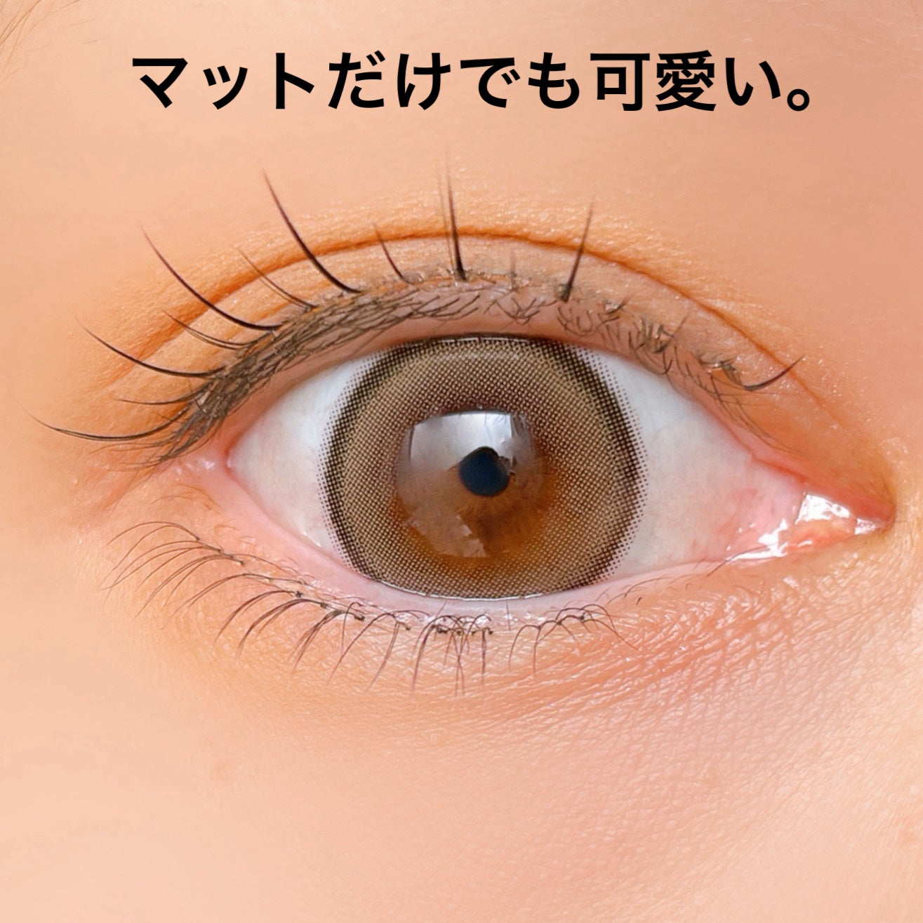 シャドウパレット/dasique/アイシャドウパレットを使ったクチコミ(4枚目)