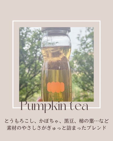 デイリーフィット パンプキンティー/TEASON/美容ドリンクを使ったクチコミ(3枚目)