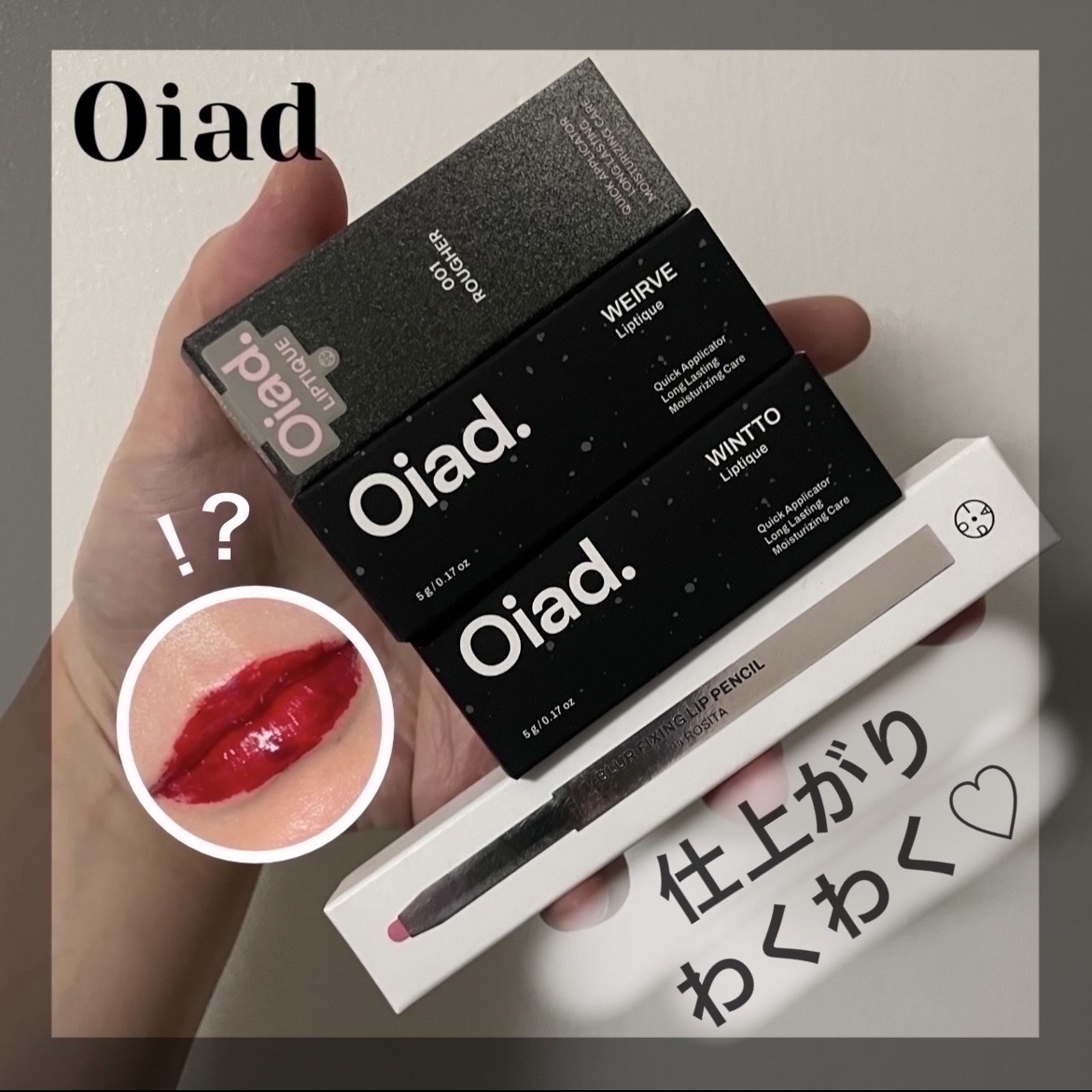 ブラーフィクシングリップペンシル 04 ロジータ/oiad/リップライナーを使ったクチコミ（1枚目）