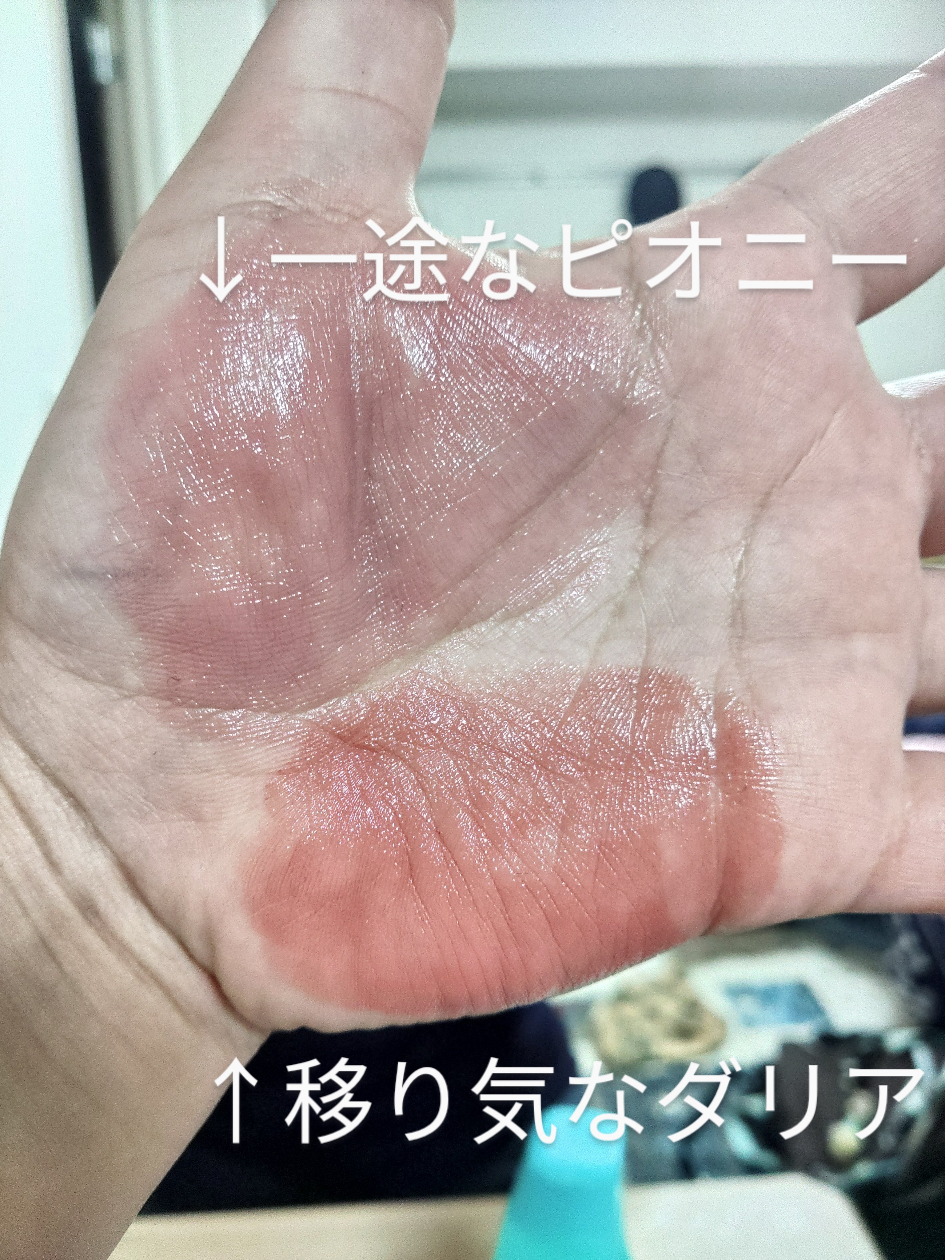 ネンマクフェイク ルージュ/Visée/口紅を使ったクチコミ（2枚目）