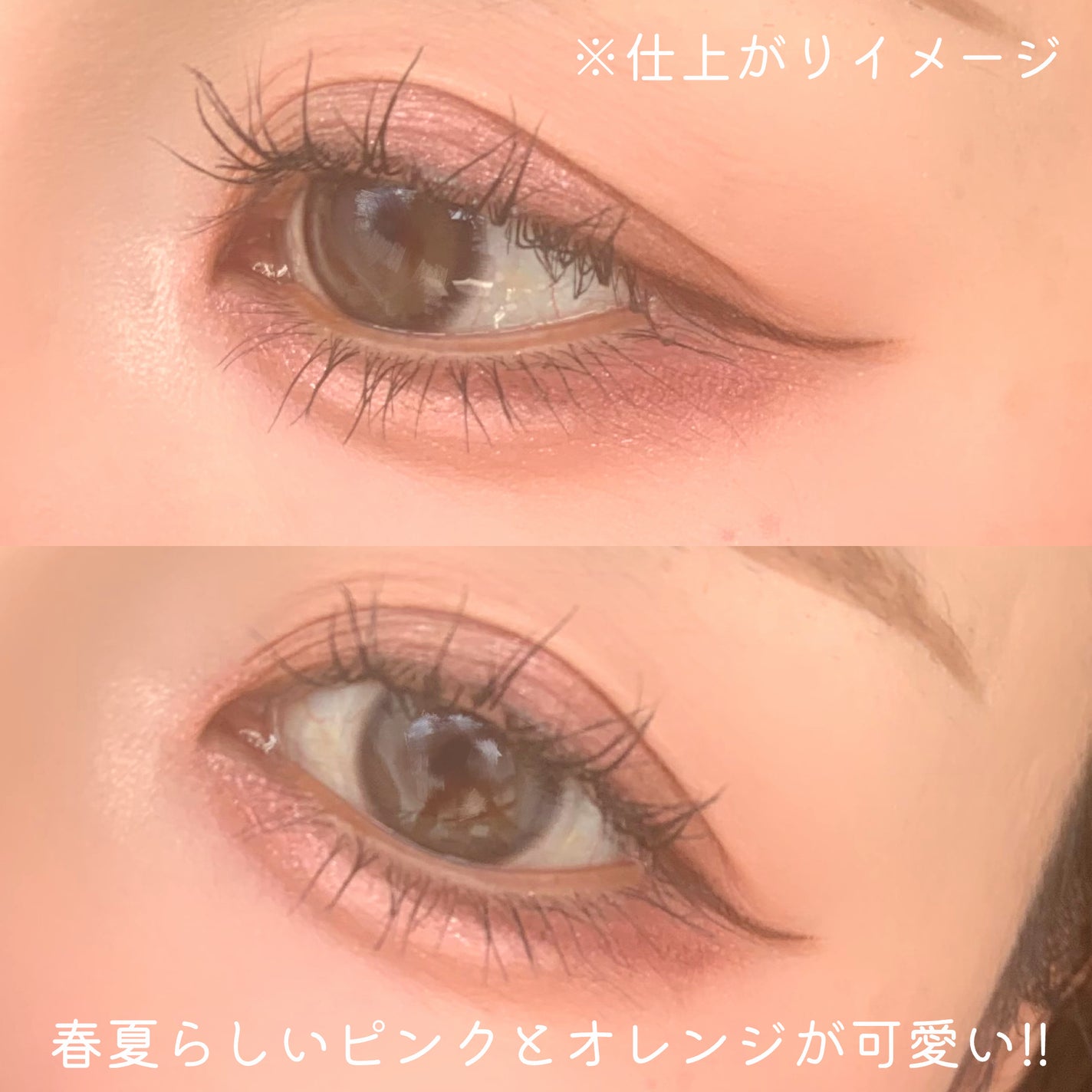 プティパレットアイズ/キャンメイク/パウダーアイシャドウを使ったクチコミ(6枚目)