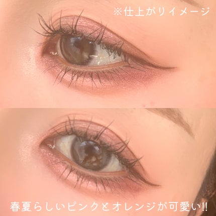 プティパレットアイズ/キャンメイク/パウダーアイシャドウを使ったクチコミ(6枚目)