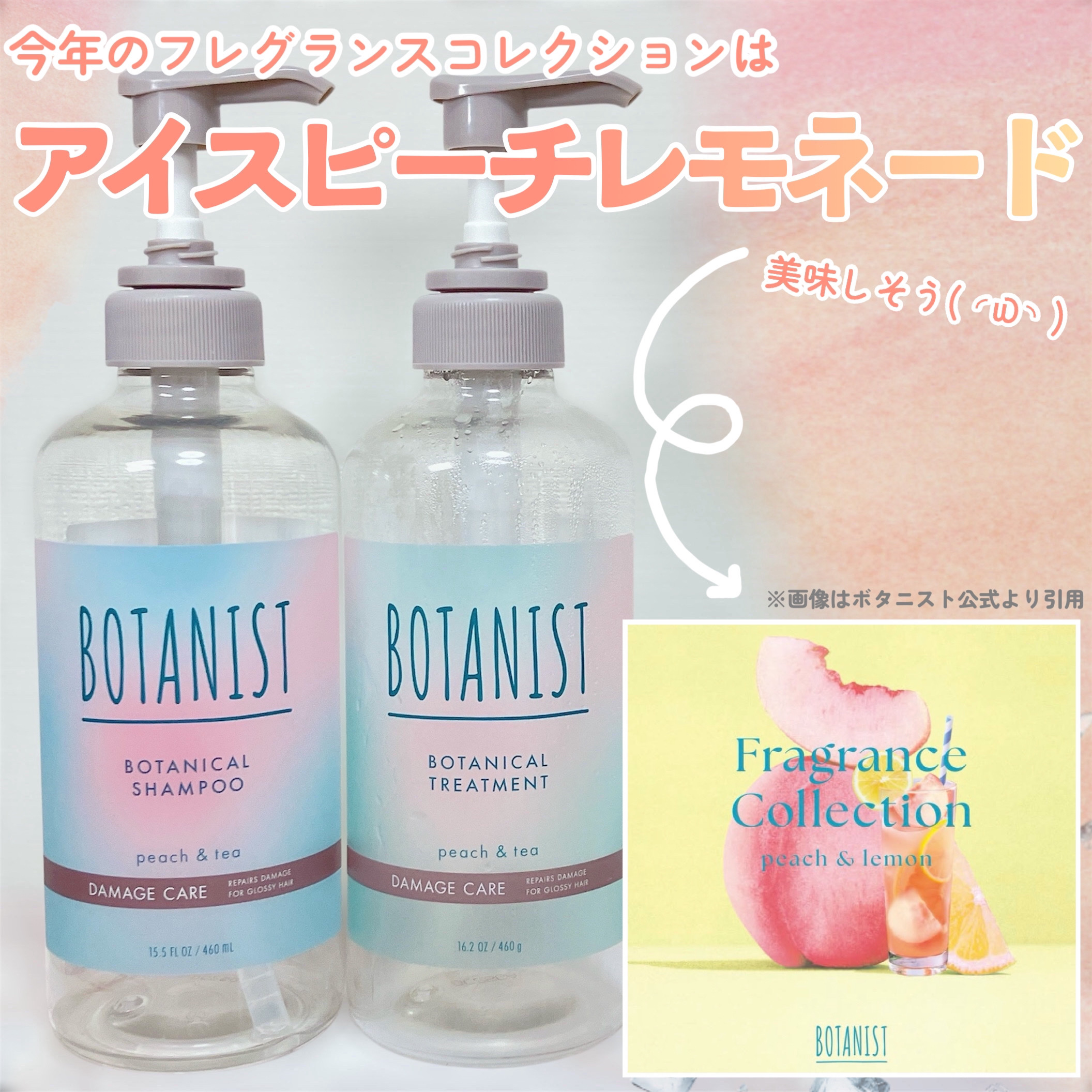 ボタニカルシャンプー・トリートメント アイスピーチティーの香り ダメージケア/BOTANIST/市販シャンプーを使ったクチコミ（3枚目）