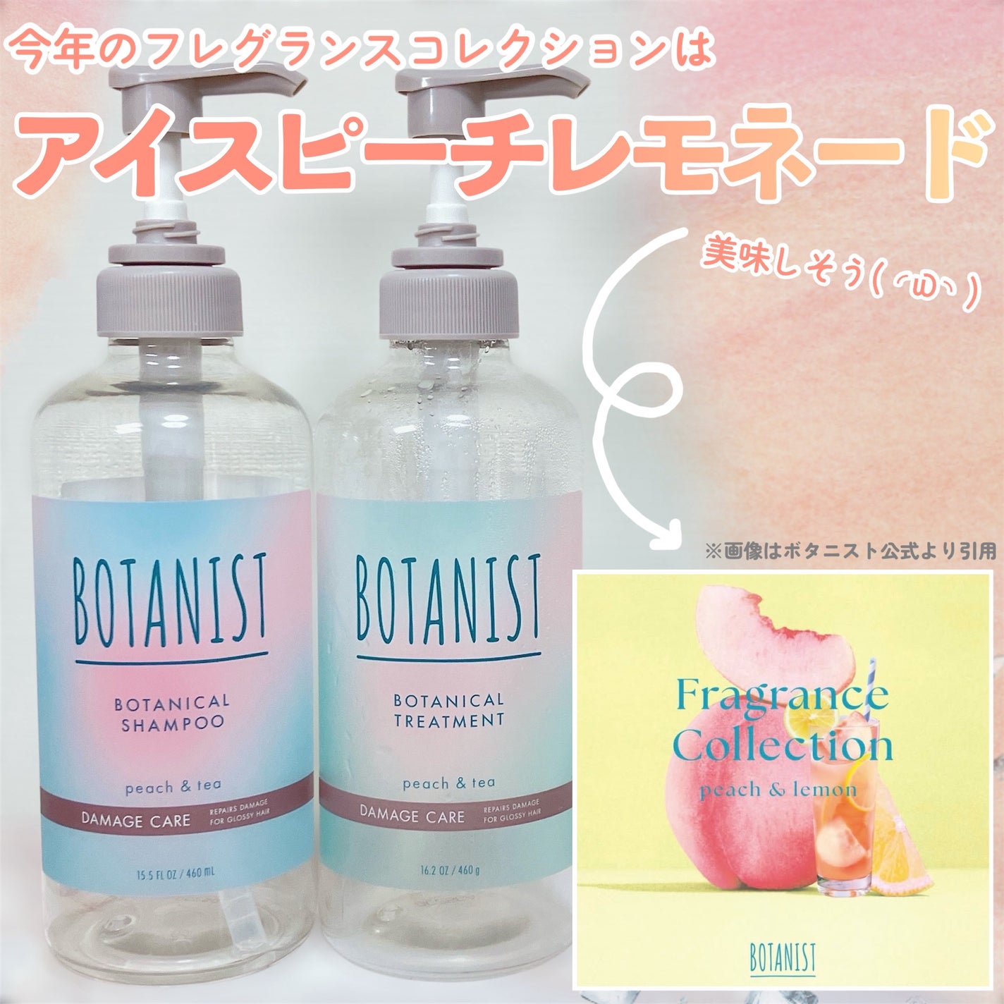 ボタニカルシャンプー・トリートメント アイスピーチティーの香り ダメージケア/BOTANIST/市販シャンプーを使ったクチコミ(3枚目)
