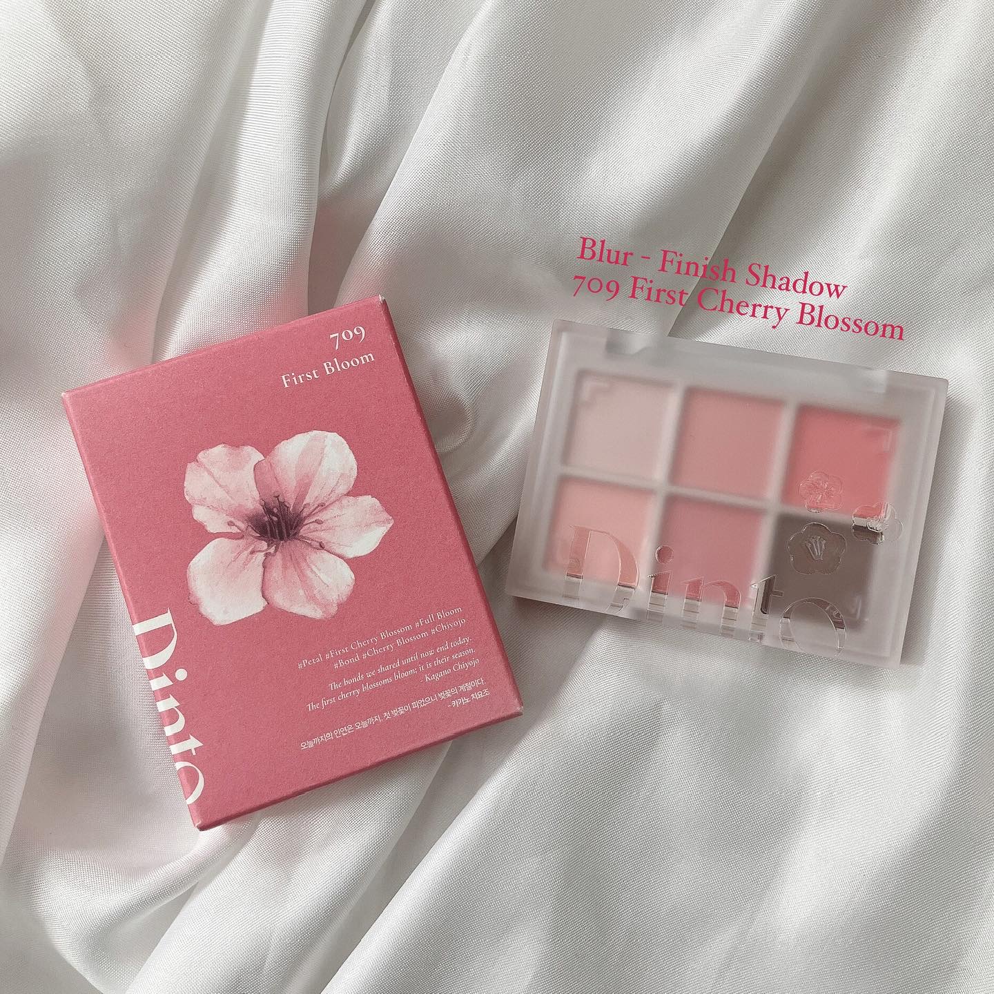 ブラーフィニシュシャドウパレット/Dinto/アイシャドウパレットを使ったクチコミ（1枚目）