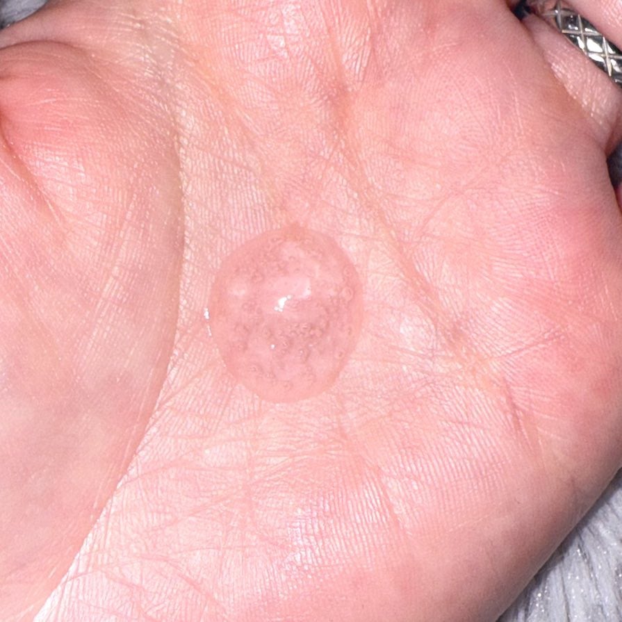 PDRNバクチオールセラム/ONE THING/美容液を使ったクチコミ(2枚目)