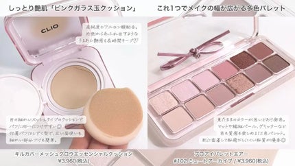 プロ アイ パレット エアー/CLIO/アイシャドウパレットを使ったクチコミ(2枚目)