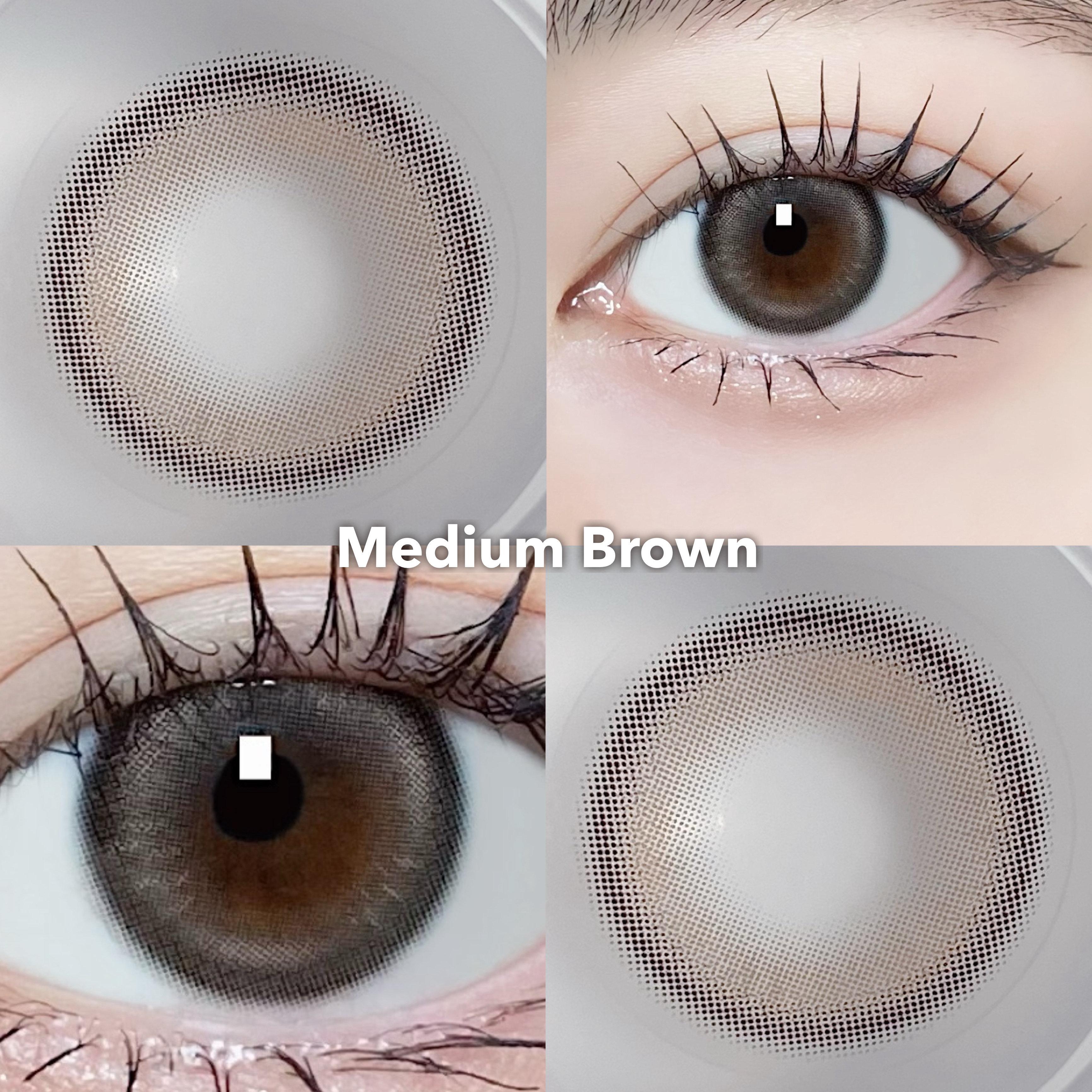 Bean Kristin 1day/Hapa kristin/ワンデー（１DAY）カラコンを使ったクチコミ（3枚目）