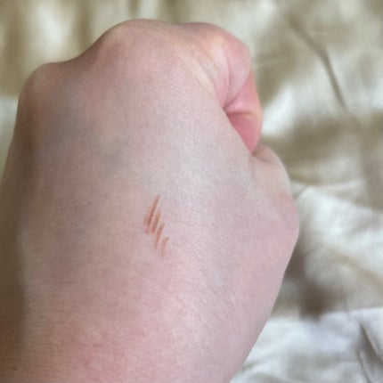 リシェ アイブロウペンシルS/Visée/アイブロウペンシルを使ったクチコミ(2枚目)