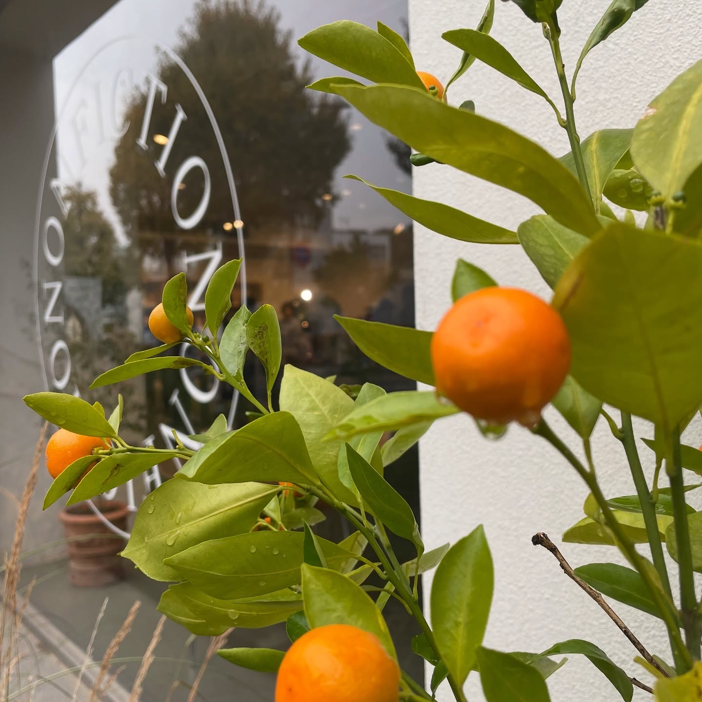 ハンドクリーム （サンタルクリーム）/NONFICTION	/ハンドクリームを使ったクチコミ（3枚目）