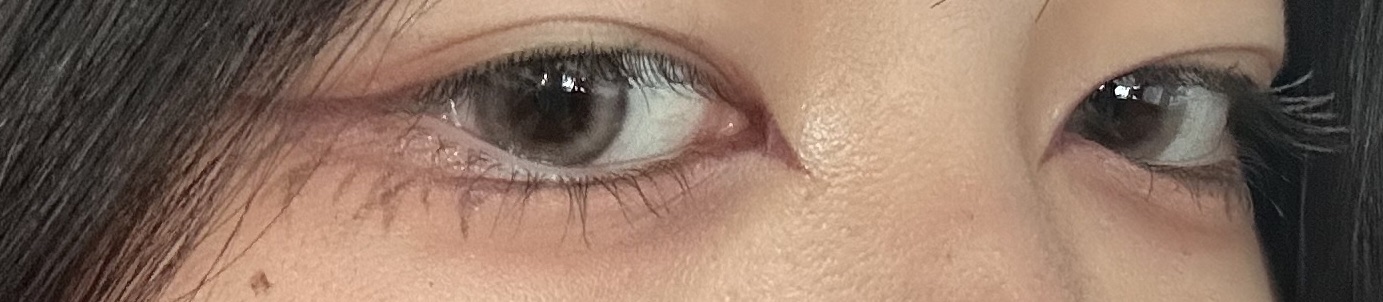 Pit-a-Pat Kristin 1day BEIGE/Hapa kristin/ワンデー（１DAY）カラコンを使ったクチコミ（1枚目）