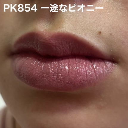 ネンマクフェイク ルージュ/Visée/口紅を使ったクチコミ(6枚目)