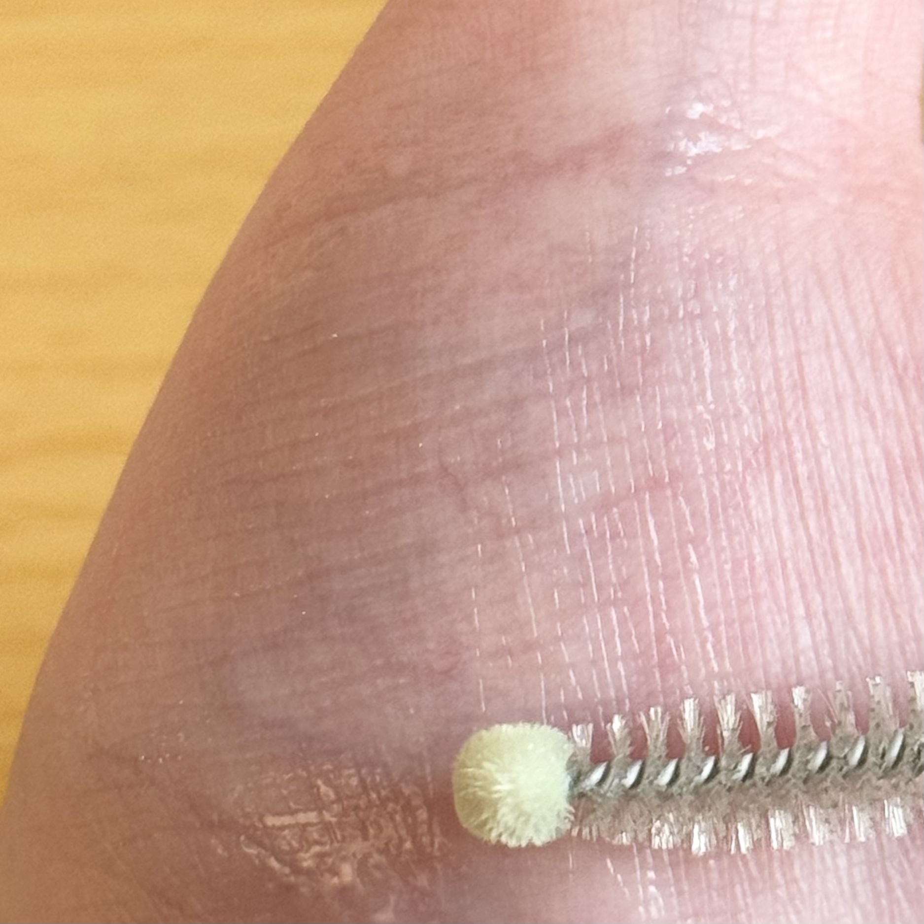 スーパーバイタルアイラッシュセラム/NUDIQUE/まつげ美容液を使ったクチコミ（3枚目）