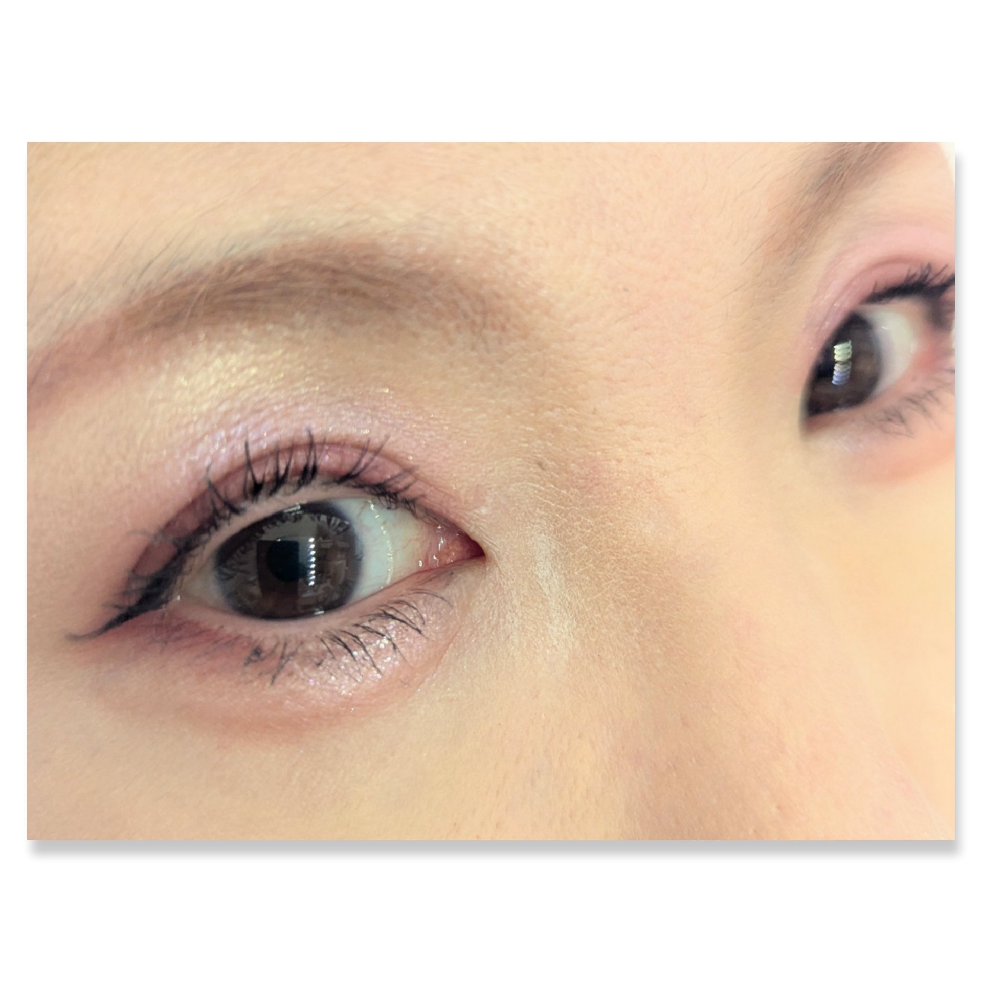 フーミー　リリュタンパレット/WHOMEE/アイシャドウパレットを使ったクチコミ（2枚目）