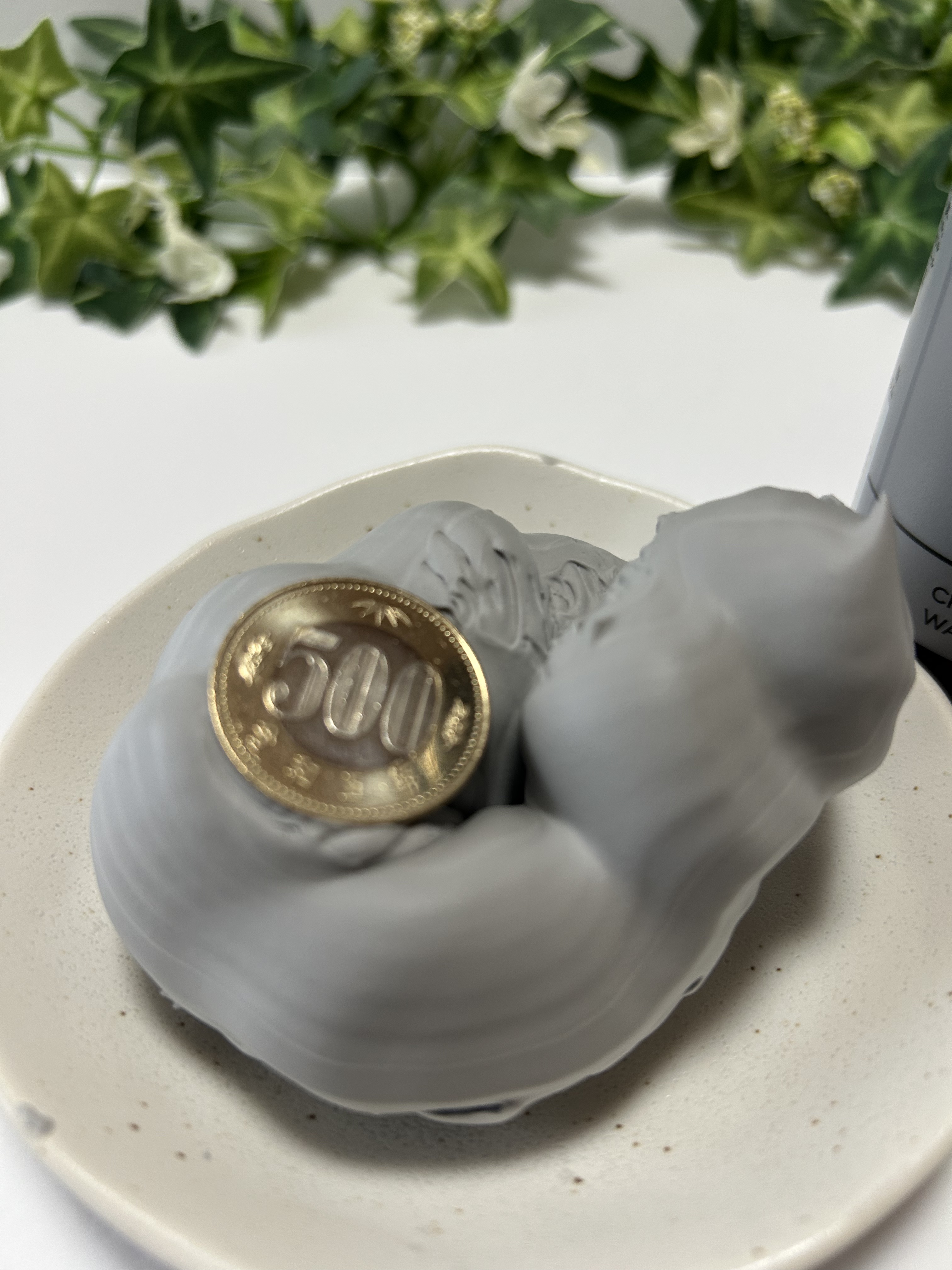 ディズム クリーミーフォームウォッシュ ブラック/DISM/泡洗顔を使ったクチコミ（3枚目）