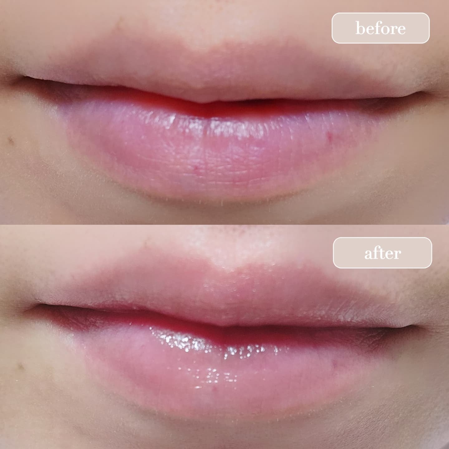 リップバター～Lip Butter～/Bee Treasure/リップクリームを使ったクチコミ（3枚目）