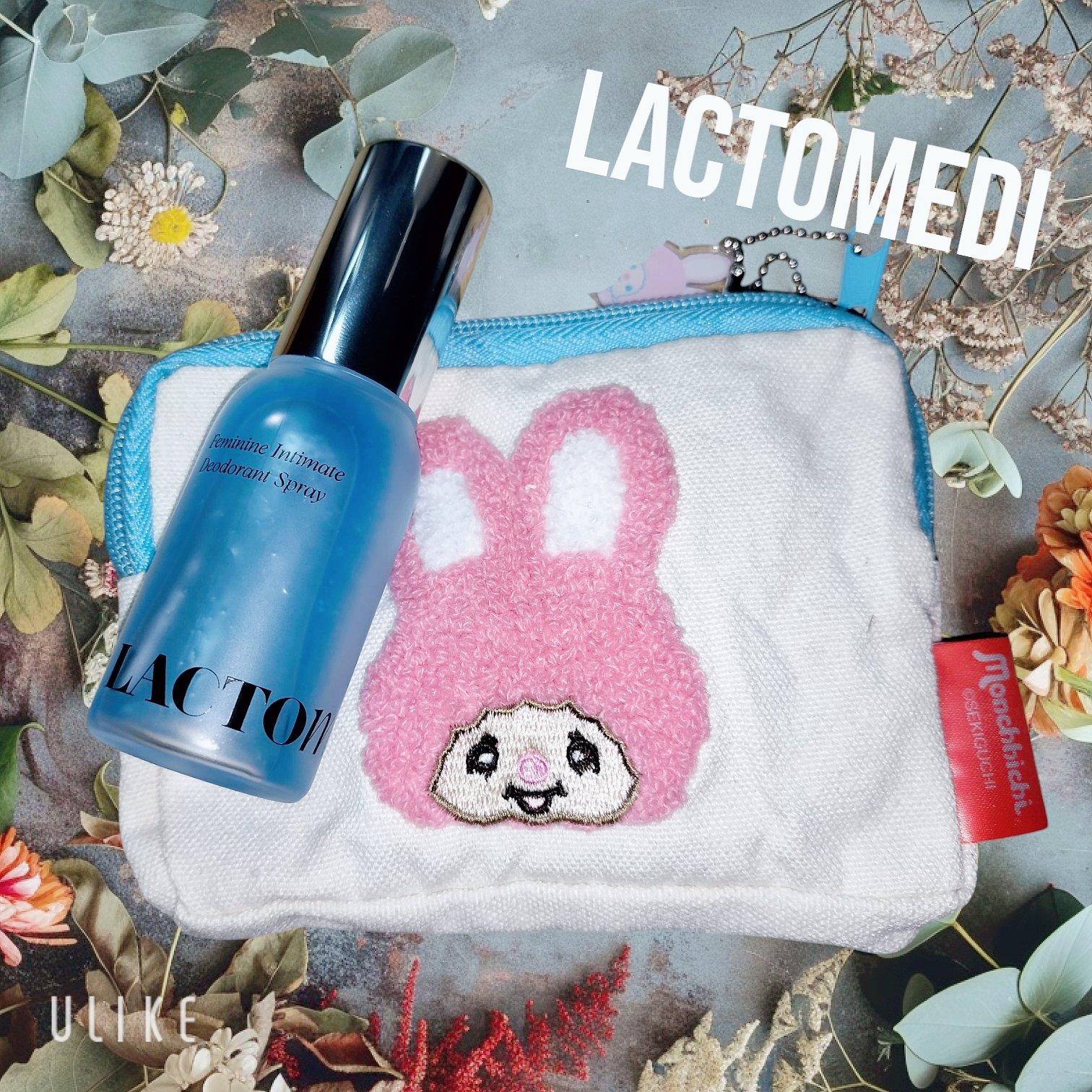 LACTOMEDI Feminine Probiotics Dry Mist/LACTOMEDI/デリケートゾーンケアを使ったクチコミ（2枚目）