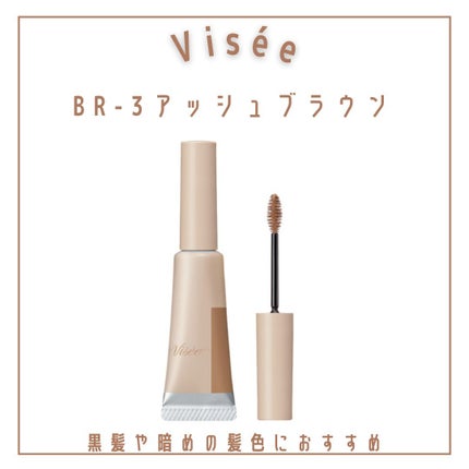 ヴィセ リシェ インスタント アイブロウ カラー/Visée/眉マスカラを使ったクチコミ(4枚目)