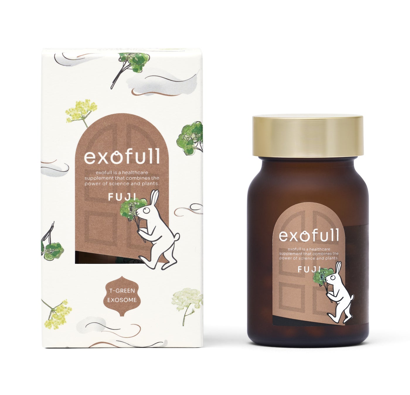 エクソフル・フジ