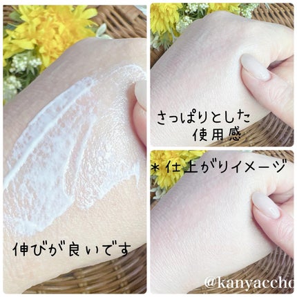 アリィー クロノビューティ ジェルUV EX/アリィー/日焼け止めジェルを使ったクチコミ(3枚目)