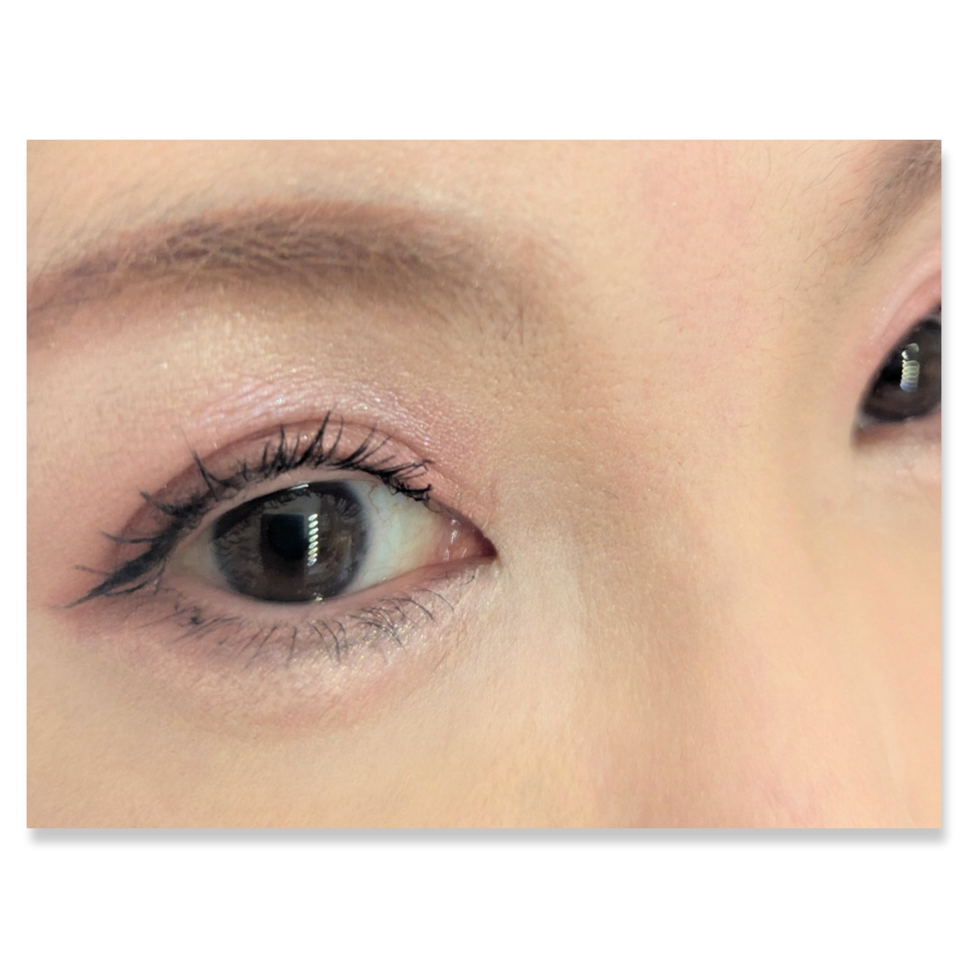 リアルクローズシャドウ/excel/アイシャドウパレットを使ったクチコミ（2枚目）