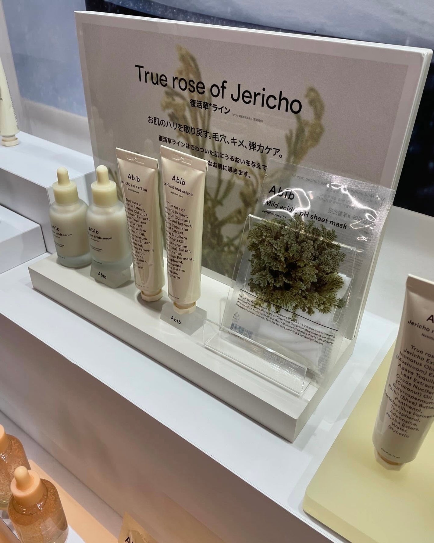 グリーンティーシード ヒアルロン セラム /innisfree/美容液を使ったクチコミ(6枚目)