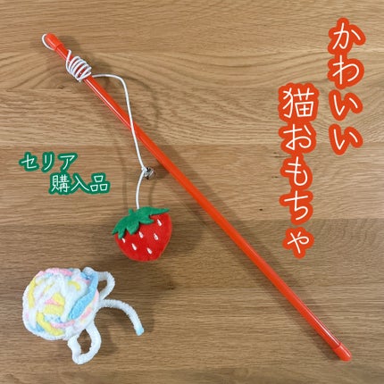 ペット用トイキャットスティックいちご/セリア/その他を使ったクチコミ(1枚目)