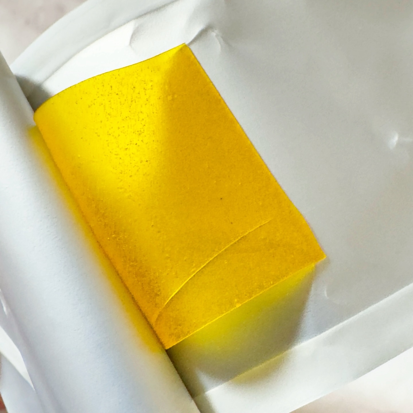 ヨエスター乳酸菌ホワイト/ESTHER FORMULA/健康サプリメントを使ったクチコミ（2枚目）