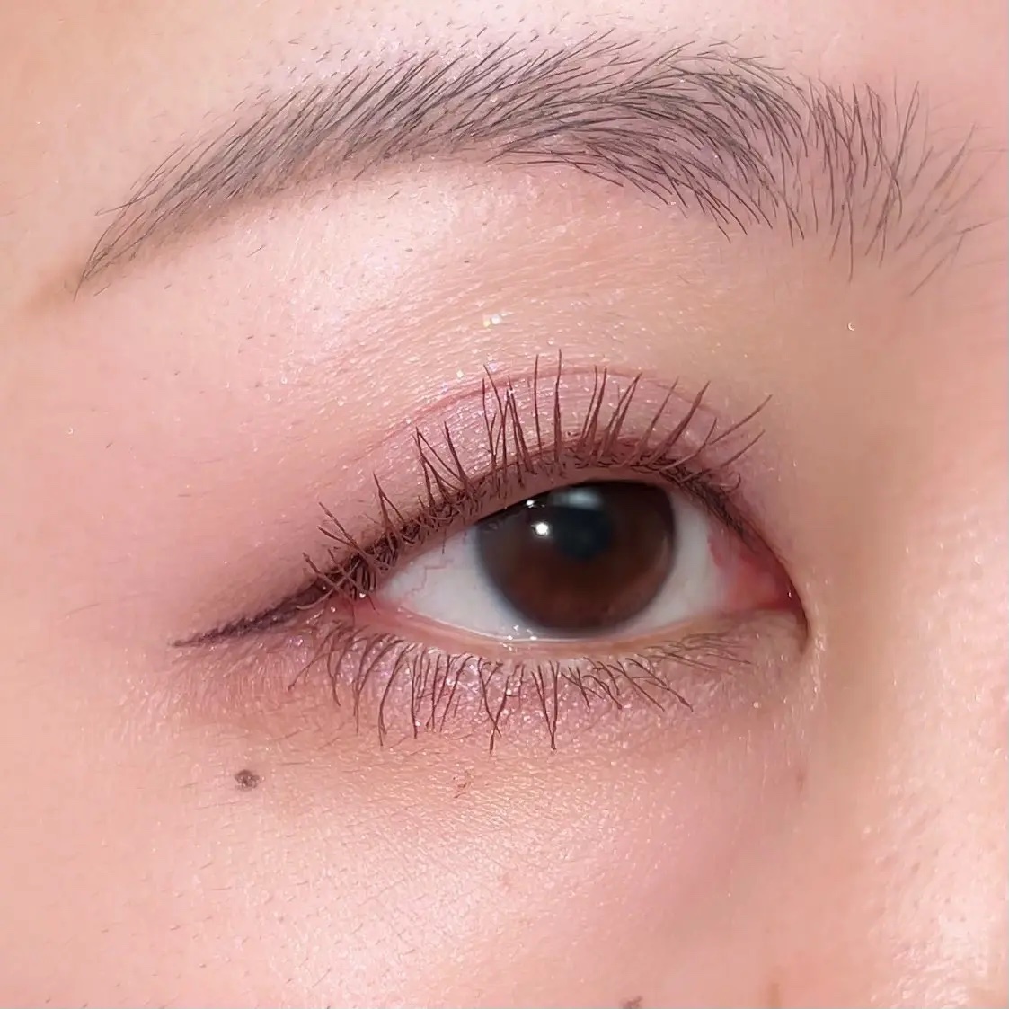 プロ アイ パレット エアー/CLIO/アイシャドウパレットを使ったクチコミ（3枚目）