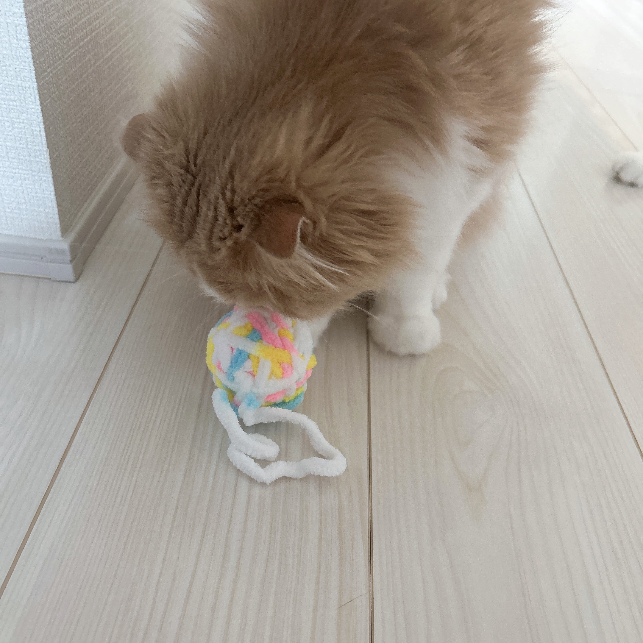 ペット用トイキャットスティックいちご/セリア/その他を使ったクチコミ（3枚目）